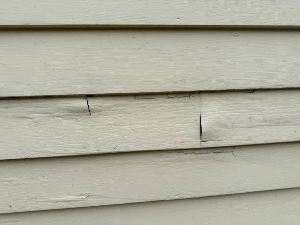 Trusted Port Royal, SC Siding Experts