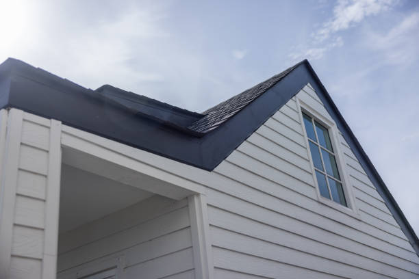 Best Siding Painting and Refinishing  in Port Royal, SC